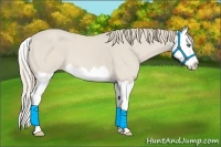 Horse Color:Smoky Creme Roan Splash 