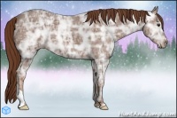 Horse Color:Chestnut Ice 