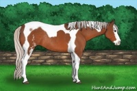 Horse Color:White Spotted Silver Bay Splash Tobiano Rabicano