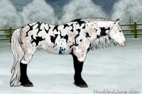 Horse Color:White Spotted Silver Black Ice Pearl Tobiano Appaloosa 