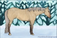 Horse Color:Silver Bay Dun Splash Tobiano  Brindle