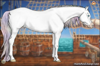 Horse Color:Nacre Silver Amber Cream Champagne Pearl Dun Blanket 