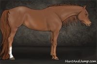 Horse Color:Chestnut Frame