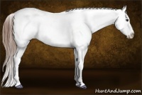 Horse Color:Chestnut Sabino Splash Tobiano Near Leopard Rabicano