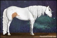 Horse Color:Silver Buckskin Splash Tobiano