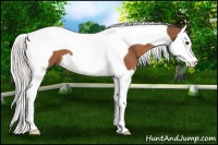Horse Color:Silver Bay Splash Tobiano 