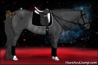Horse Color:Black Rabicano 