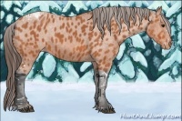 Horse Color:Bay Splash Tobiano Varnish  Brindle