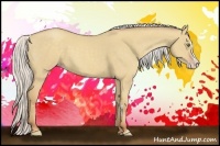 Horse Color:Silver Classic Champagne Dun Splash Frame 