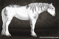 Horse Color:White Spotted Silver Black Chinchilla Splash Frame 