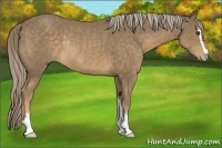 Horse Color:Chocolate Palomino Sabino Rabicano