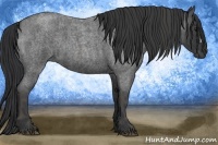 Horse Color:Blue Roan Brindle
