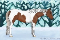 Horse Color:Silver Bay Tobiano