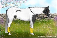 Horse Color:Black Splash Tobiano Frame