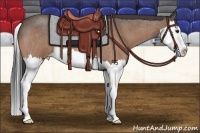 Horse Color:Buckskin Roan Splash 