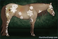 Horse Color:Liver Red Dun Ice 