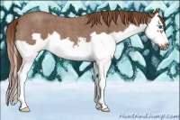 Horse Color:Red Roan Splash Frame