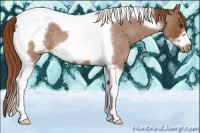 Horse Color:Red Roan Tobiano Frame 