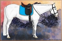 Horse Color:Cremello Splash Tobiano Frame Varnish 