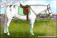 Horse Color:Brown Splash Appaloosa