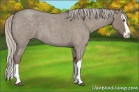 Horse Color:Silver Grullo Roan Splash