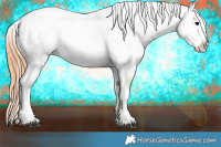 Horse Color:Bay Splash Snowflake Varnish