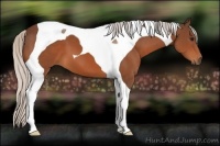 Horse Color:Silver Bay Tobiano 