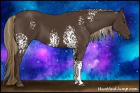 Horse Color:White Spotted Liver Chestnut 