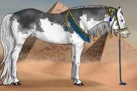 Horse Color:Silver Black Chinchilla Splash