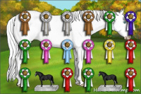 Horse Color:Gray Perlino Sabino Splash Tobiano Rabicano 