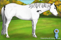 Horse Color:Gray Smoky Black Sabino Splash Tobiano Rabicano