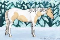 Horse Color:Silver Amber Champagne Dun Tobiano 