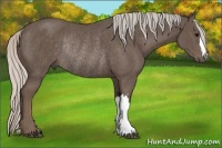 Horse Color:Silver Black Rabicano