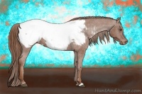 Horse Color:Chestnut Snowcap Rabicano 