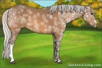 Horse Color:Silver Buckskin Ice 