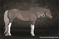 Horse Color:Silver Black Tobiano