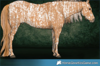 Horse Color:Brown Snowflake Varnish  Brindle
