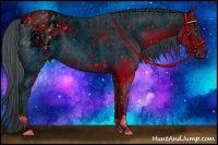 Horse Color:ERROR: UNKNOWN ANOMALY and ERROR: UNKNOWN ANOMALY