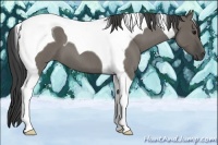 Horse Color:Smoky Grullo Roan Tobiano