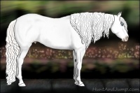 Horse Color:Cremello Sabino Varnish Rabicano  and Cremello Sabino Varnish Rabicano 