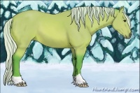 Horse Color:Watercolor Silver Bay 