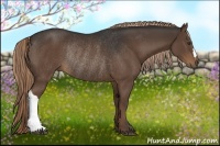 Horse Color:Liver Chestnut Rabicano 