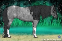 Horse Color:Blue Roan Tobiano 