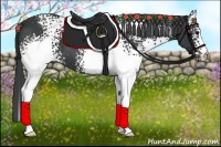 Horse Color:White Spotted Black