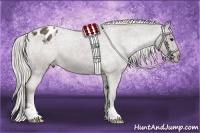 Horse Color:Silver Black Sabino Appaloosa 