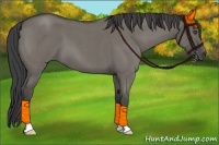 Horse Color:Smoky Grullo Roan 