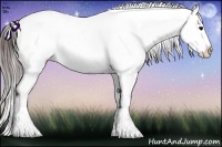 Horse Color:Brown Appaloosa