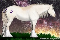 Horse Color:Perlino Rabicano