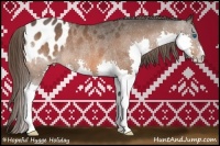 Horse Color:Bay Splash Appaloosa Rabicano 