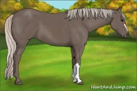 Horse Color:Silver Black 